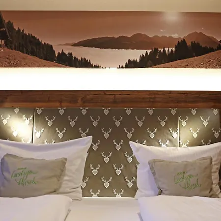 מלון Lustiger Hirsch 3*