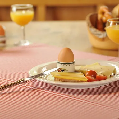 Lustiger Hirsch 호텔