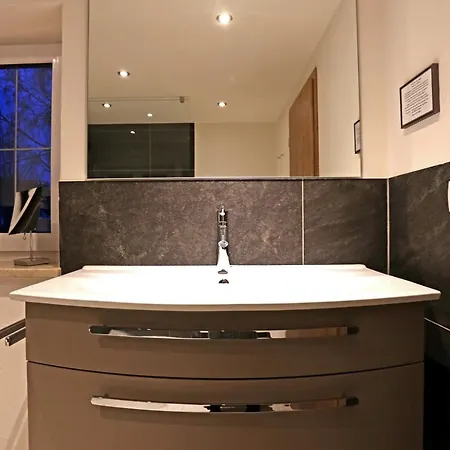 Lustiger Hirsch 호텔 3*