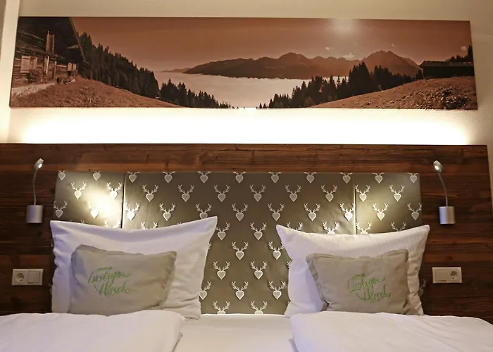 מלון Lustiger Hirsch 3*