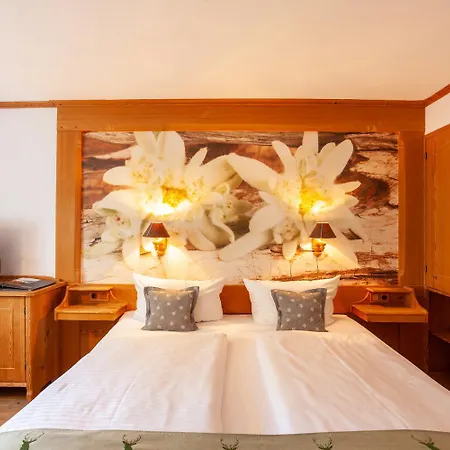 Lustiger Hirsch 3* Akams