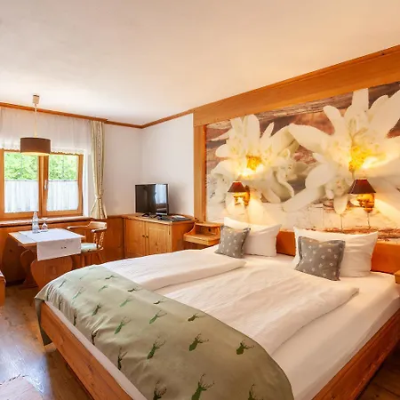 Lustiger Hirsch 3* Akams