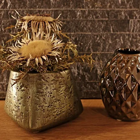 Lustiger Hirsch מלון 3*