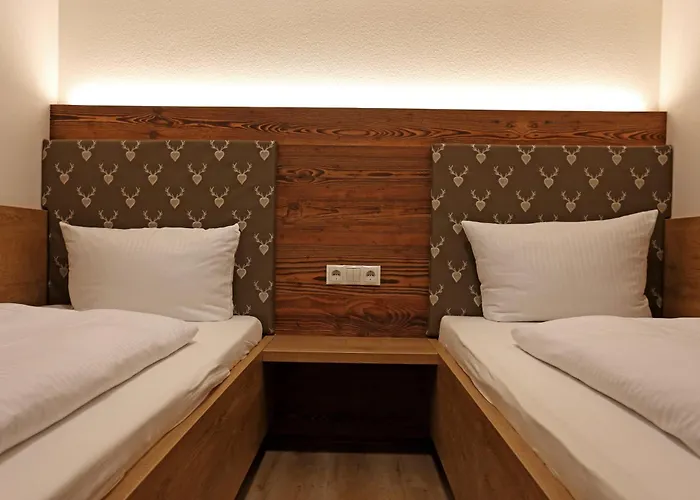 Lustiger Hirsch Hotel 3*